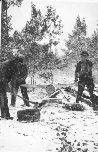 Chopping Wood for the Fire